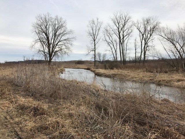 Image taken February 4, 2017.