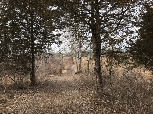 085FF73A-33BC-49AA-9577-6179636C11D6