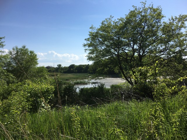 FFD0087D-F58E-4E1E-ADE4-6B0D42649307