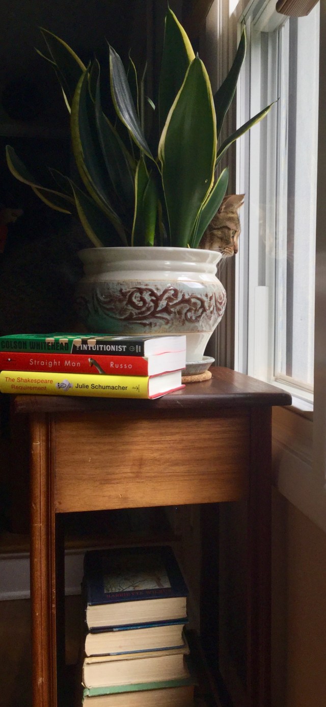 CF6EE2B4-9575-40A2-BD00-EB9254D418CE