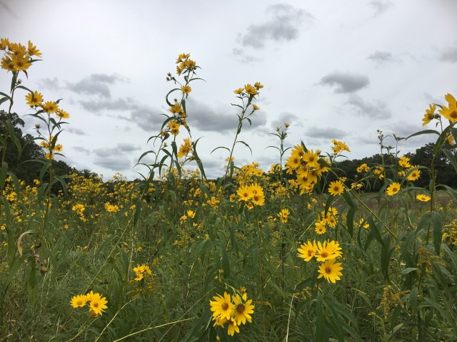 986E6E01-EB29-4BBD-8214-CAA342E1DB88