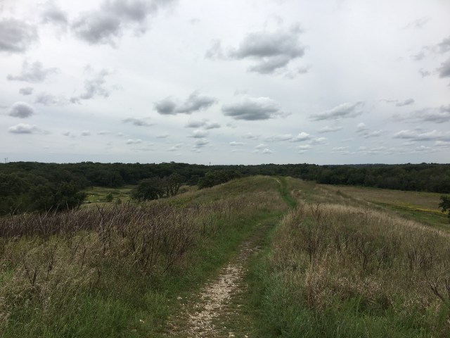 DED1AC6F-FB16-4766-9EC1-32879FEAAD60