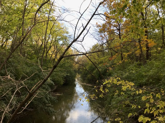 99E9F91B-9709-450B-981A-C325C2747406