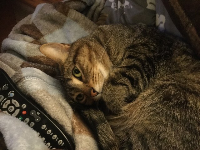 4033A2CF-612A-470A-B05B-05ED94ABE539