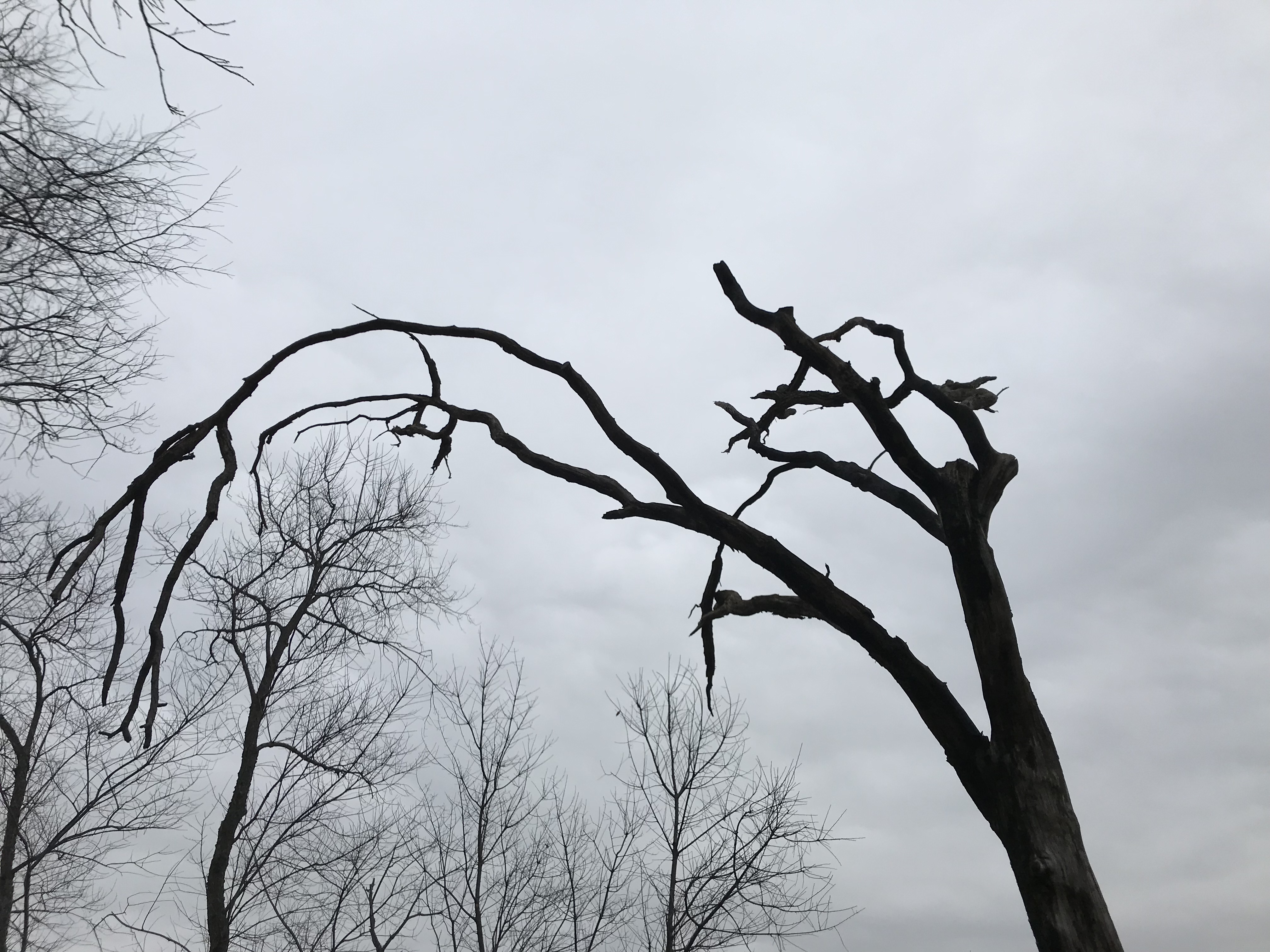 66F98766-8949-4F9D-A3C4-45785B6591D9