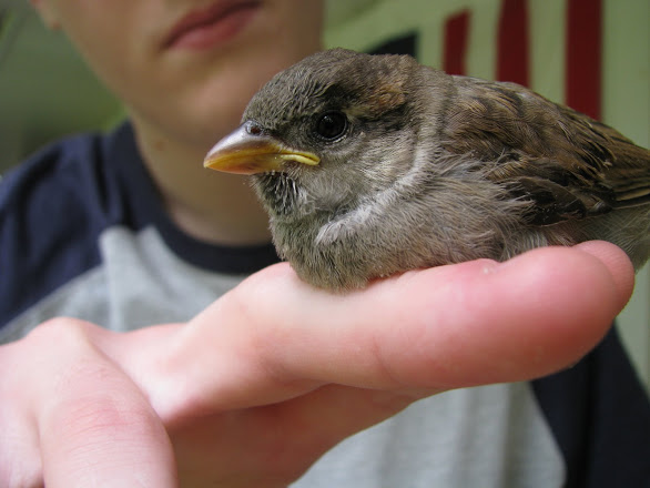 1976AB9B-BCC9-40A6-B1B2-4A31CF60CBF4