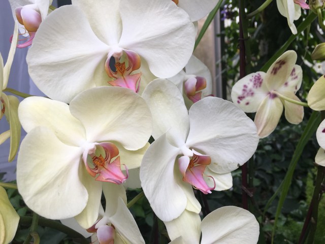 AD3475DE-3760-4E98-97EA-F0D7F53E6997