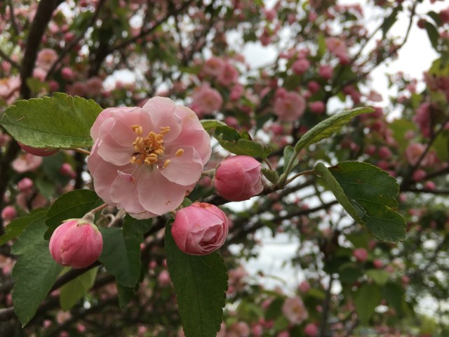 D953272F-4F41-4416-897F-BBE6566E4CF2