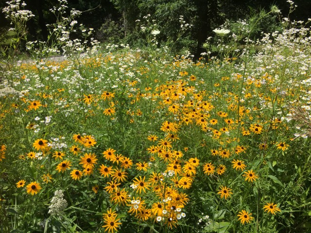 68A2BA1D-47B7-454E-8FEA-564EF237425F