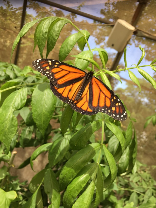 B4213E3F-F91E-49EF-BC0C-6986E464AD6F