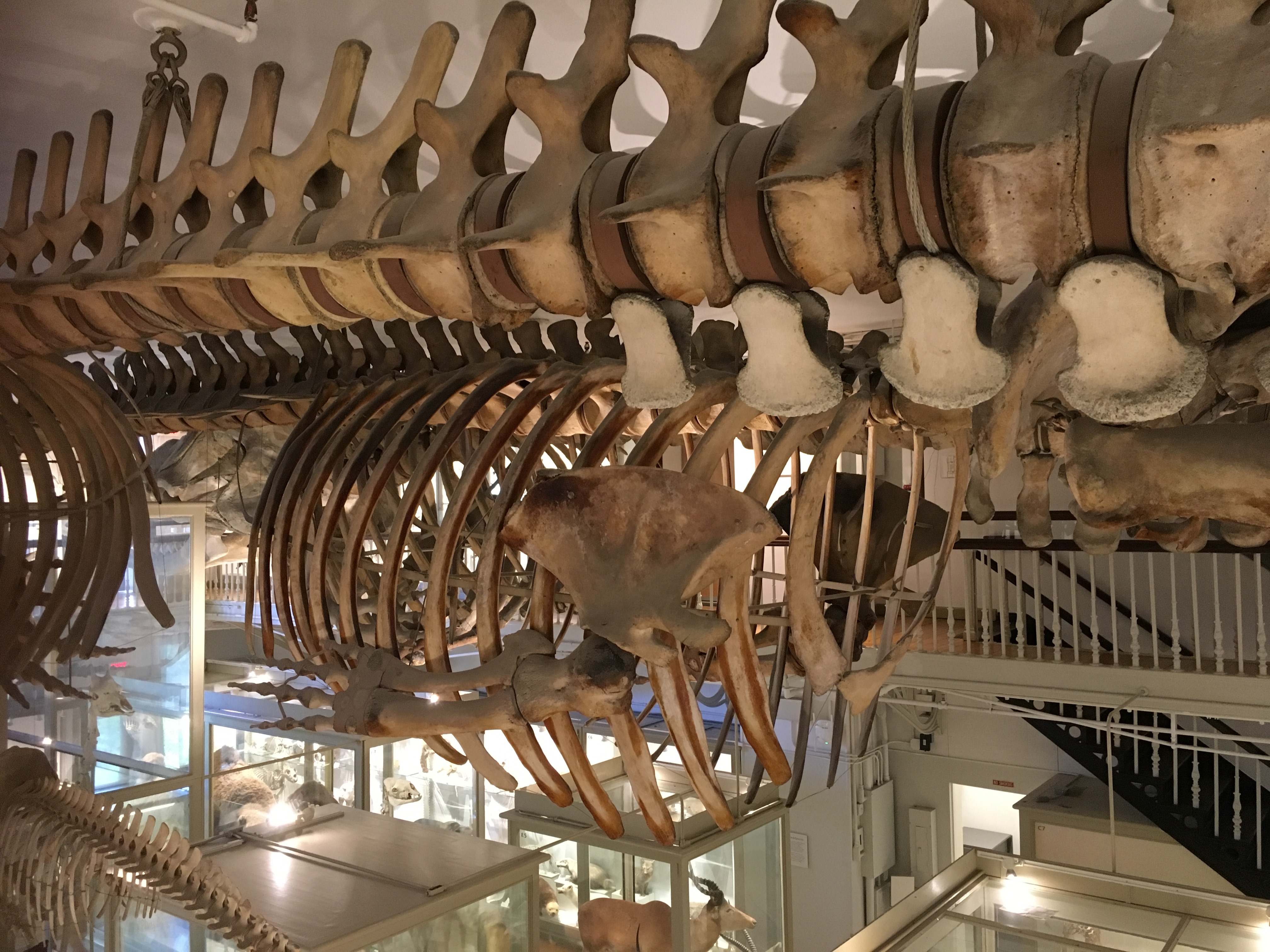 C74C4690-3B0A-4061-827C-AEEB1577870D