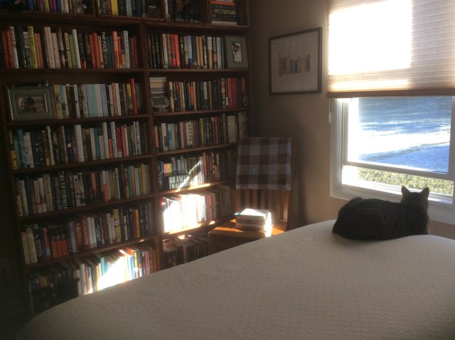 F480DF2B-242F-45C4-AA6E-B7DA1A372A56