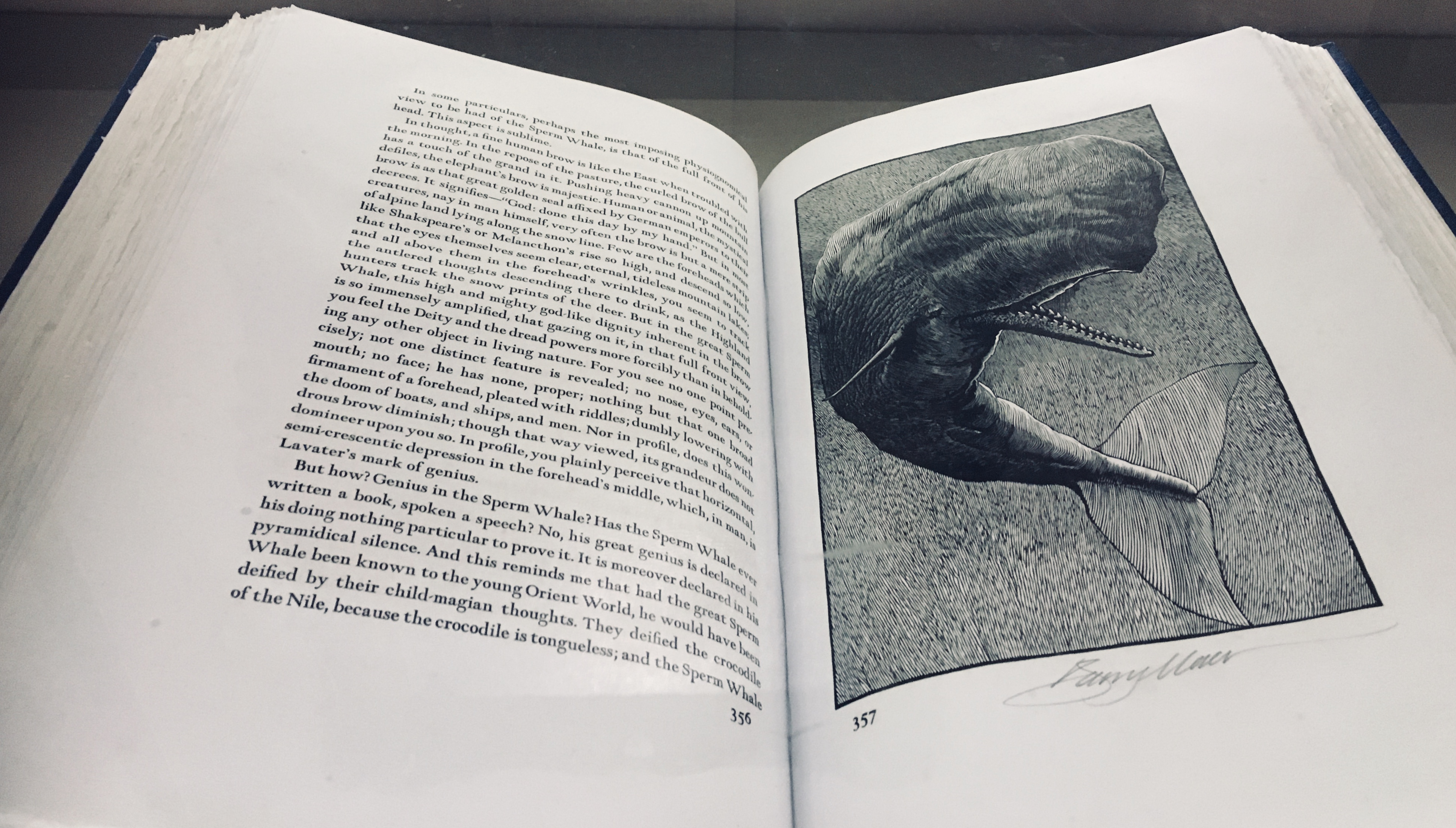 0670BA96-7902-46F6-BC58-296F127C1433