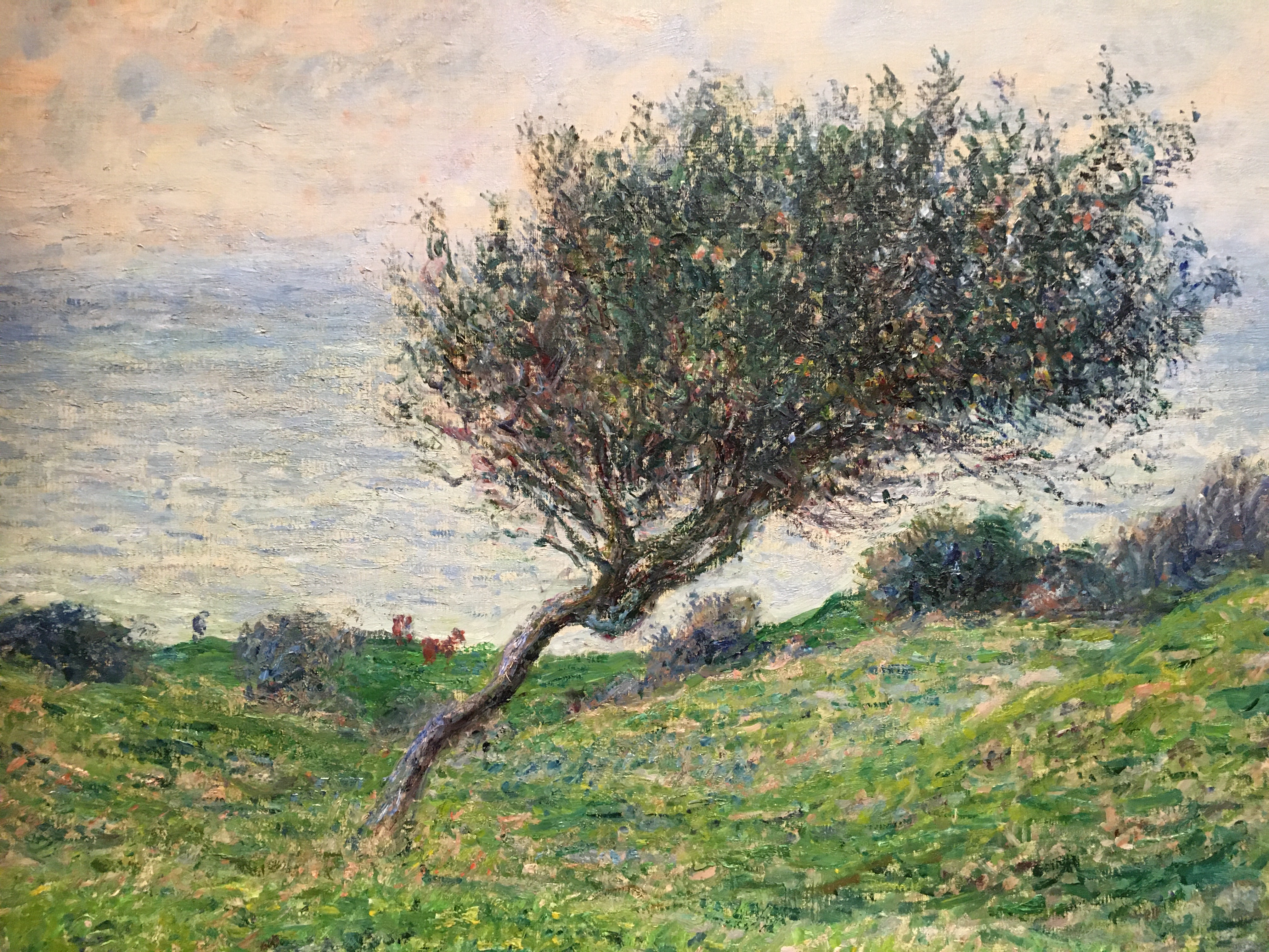 09DD52A1-AB81-4CC2-8FE5-C3BC95284709