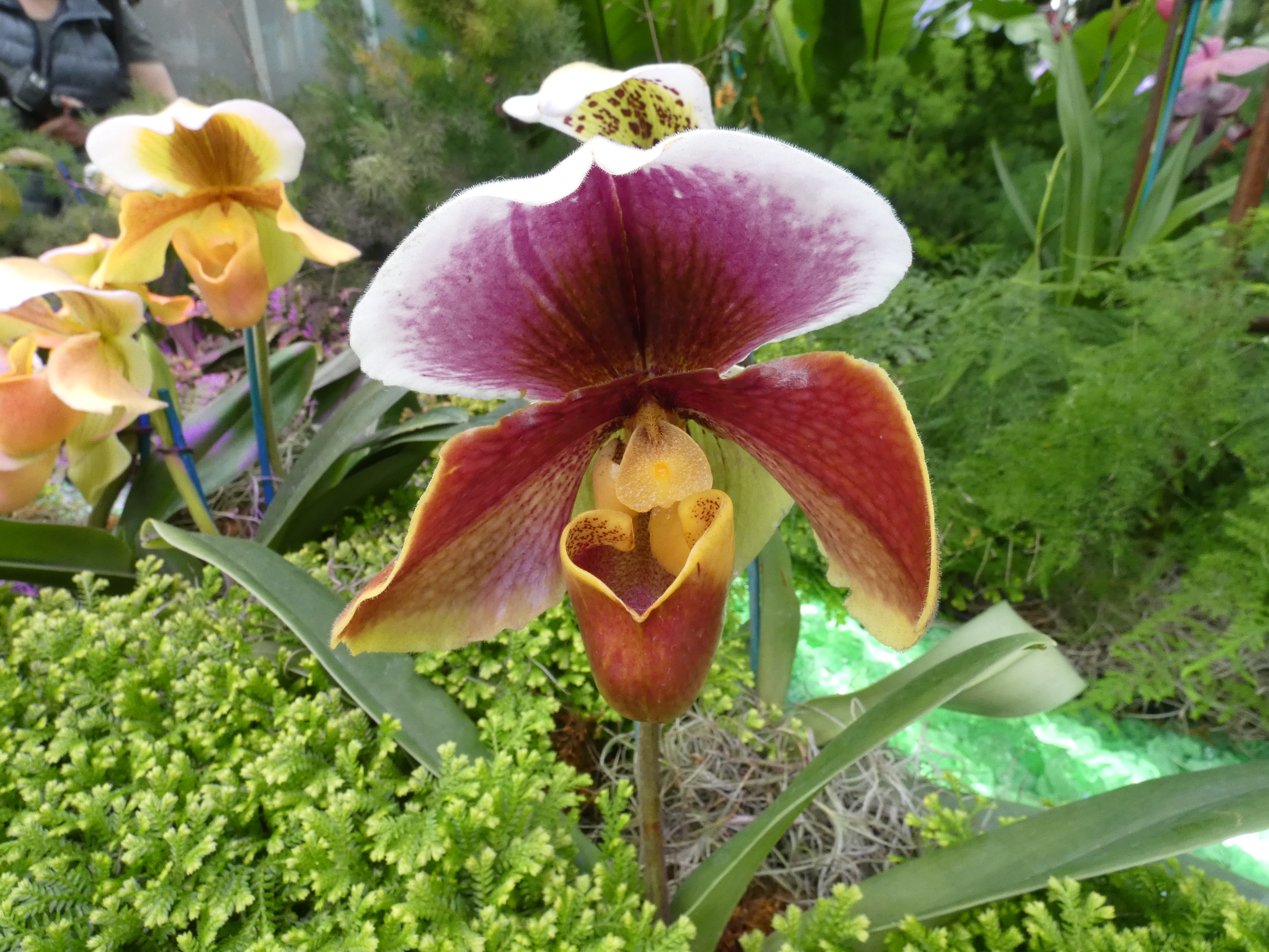 21A8A3B5-C843-4935-A41E-527B12876AA5