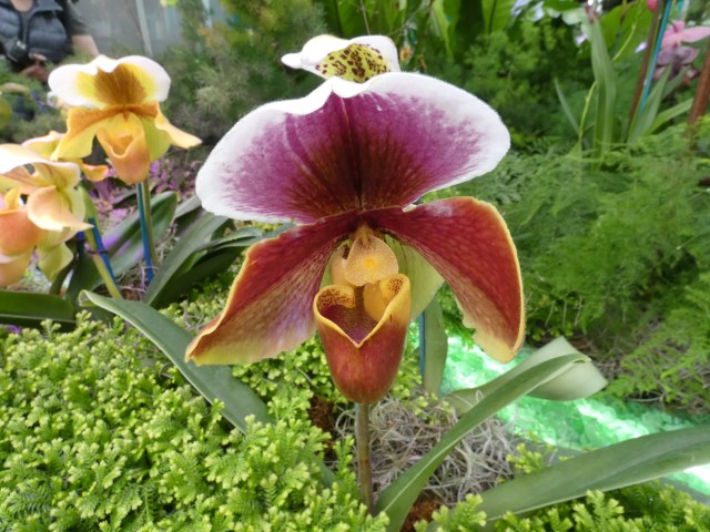 21A8A3B5-C843-4935-A41E-527B12876AA5