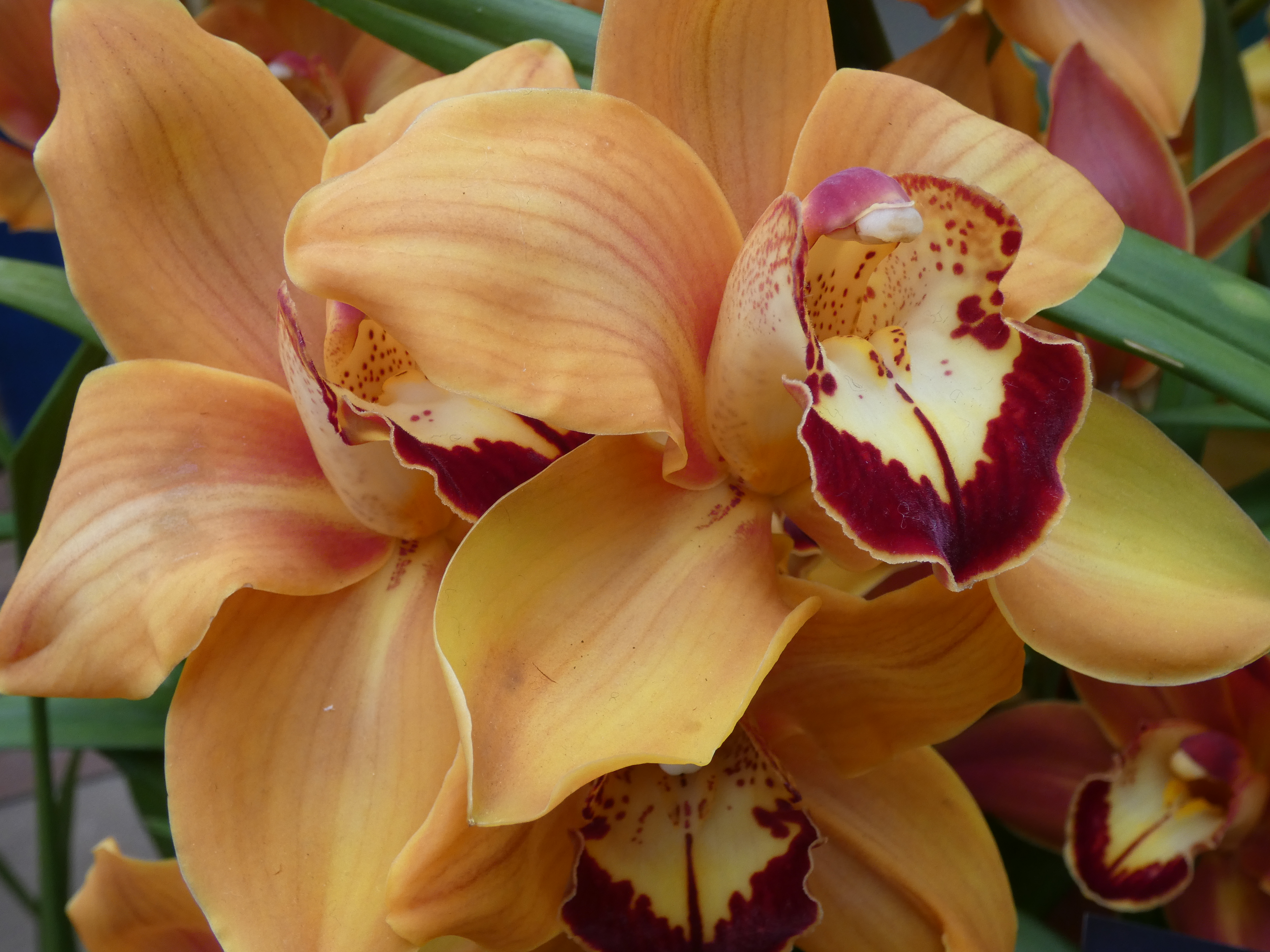 4D2D9C0B-272E-43E9-AFC0-75170F9111FA