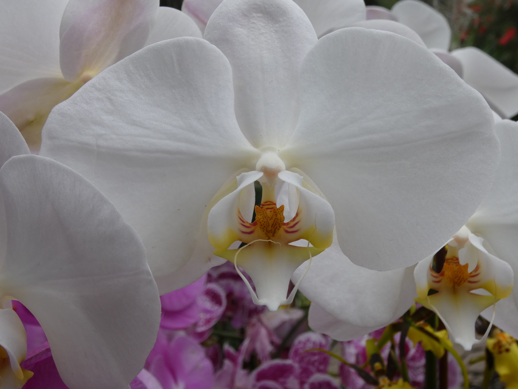 7B75B4DD-4F67-4BB8-A7C3-4C393B1B7840