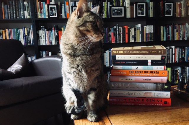 8C582CDD-37F8-43DD-B149-5FBFD4E29037