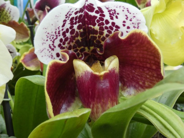 98B557DA-A36D-4C59-A16B-D2038AEDB7FF