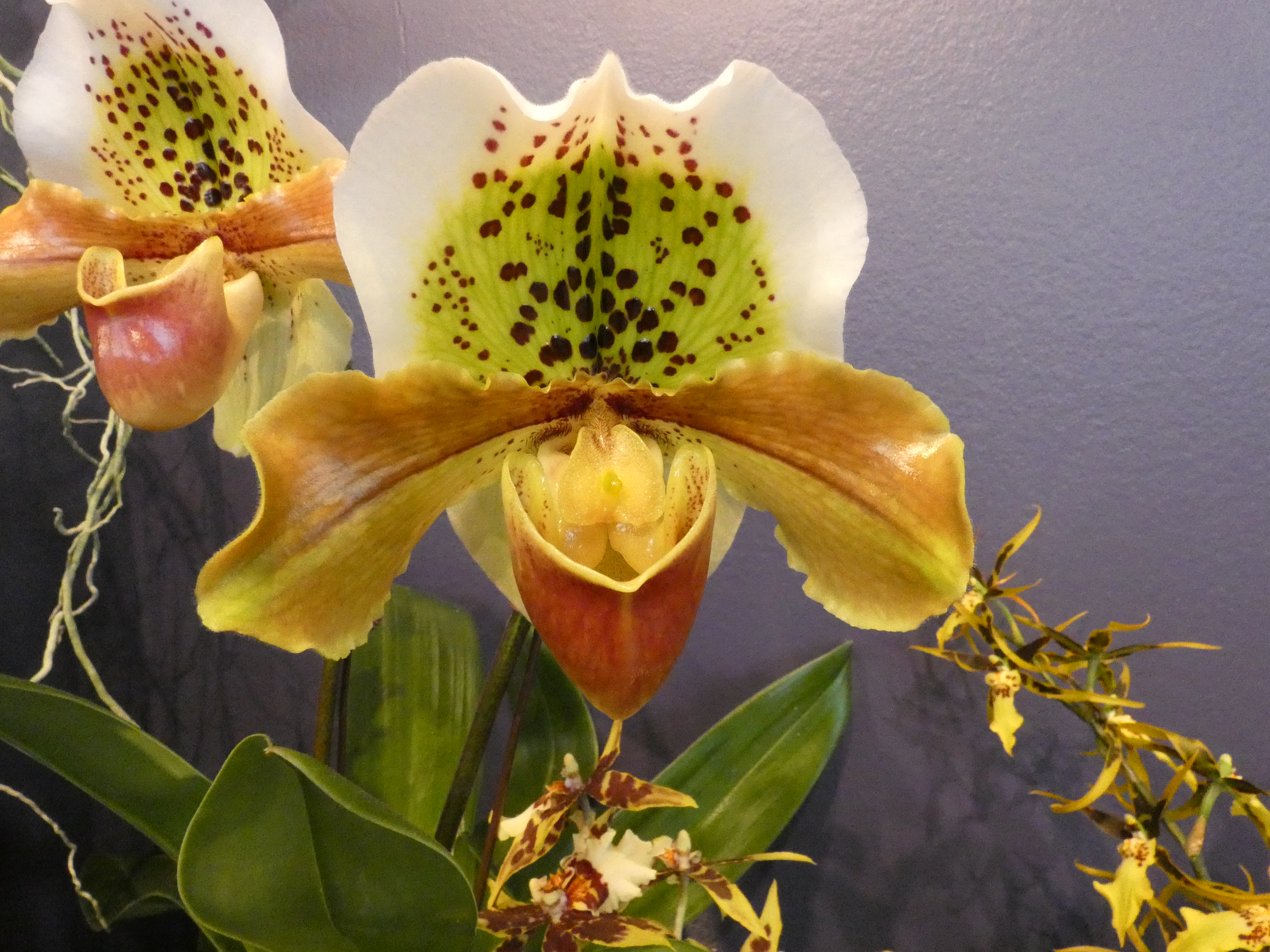 9E1B9A80-EC9B-46AC-8FCA-A862D8E6C522