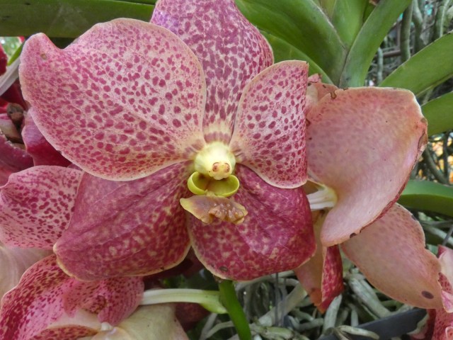 F01DE056-054F-42CD-9EE8-A612613C0AFF