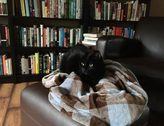 0497D280-6518-4F0A-8431-D80CBBD7F138