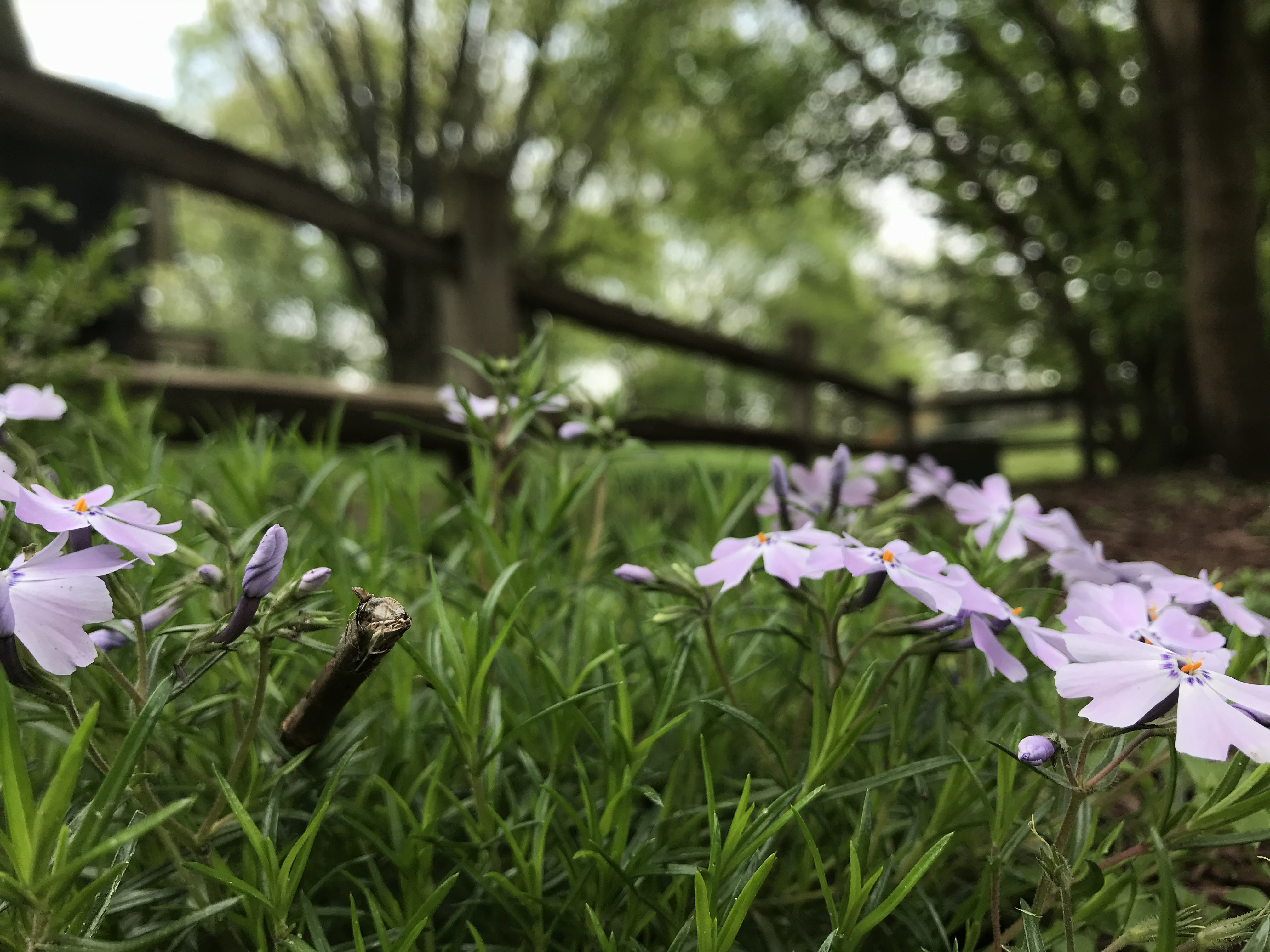 EB3E0261-41EE-4FF7-8B5B-1E059C0F7F1B