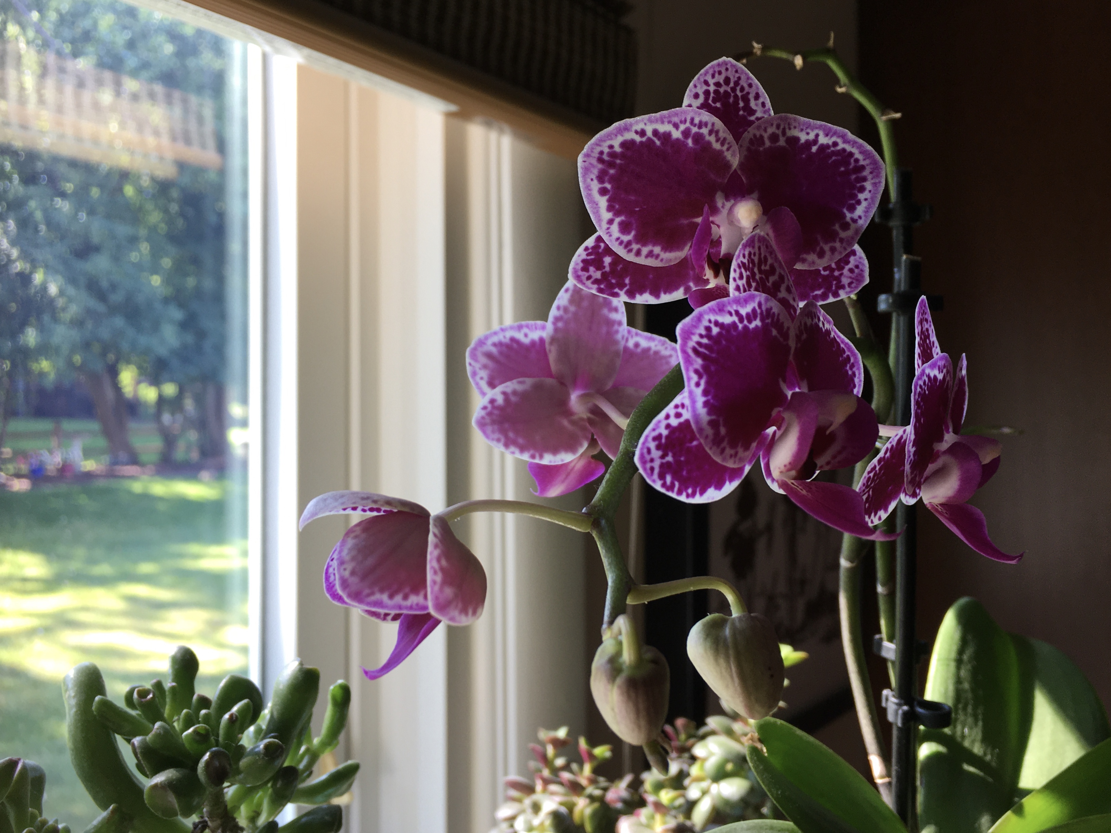 5A142B34-00A0-4313-859B-D15AFD361E52