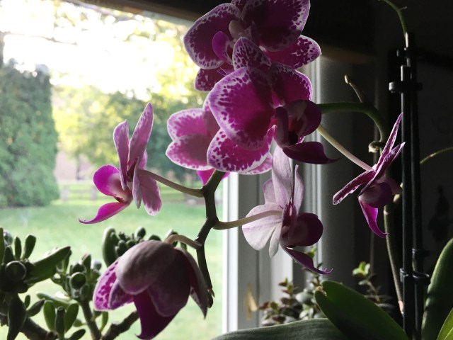 B579165A-BE76-4281-A134-859208696FF1