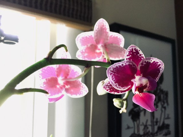 EAC09A27-9B2B-4E47-A949-5897C13B70AC