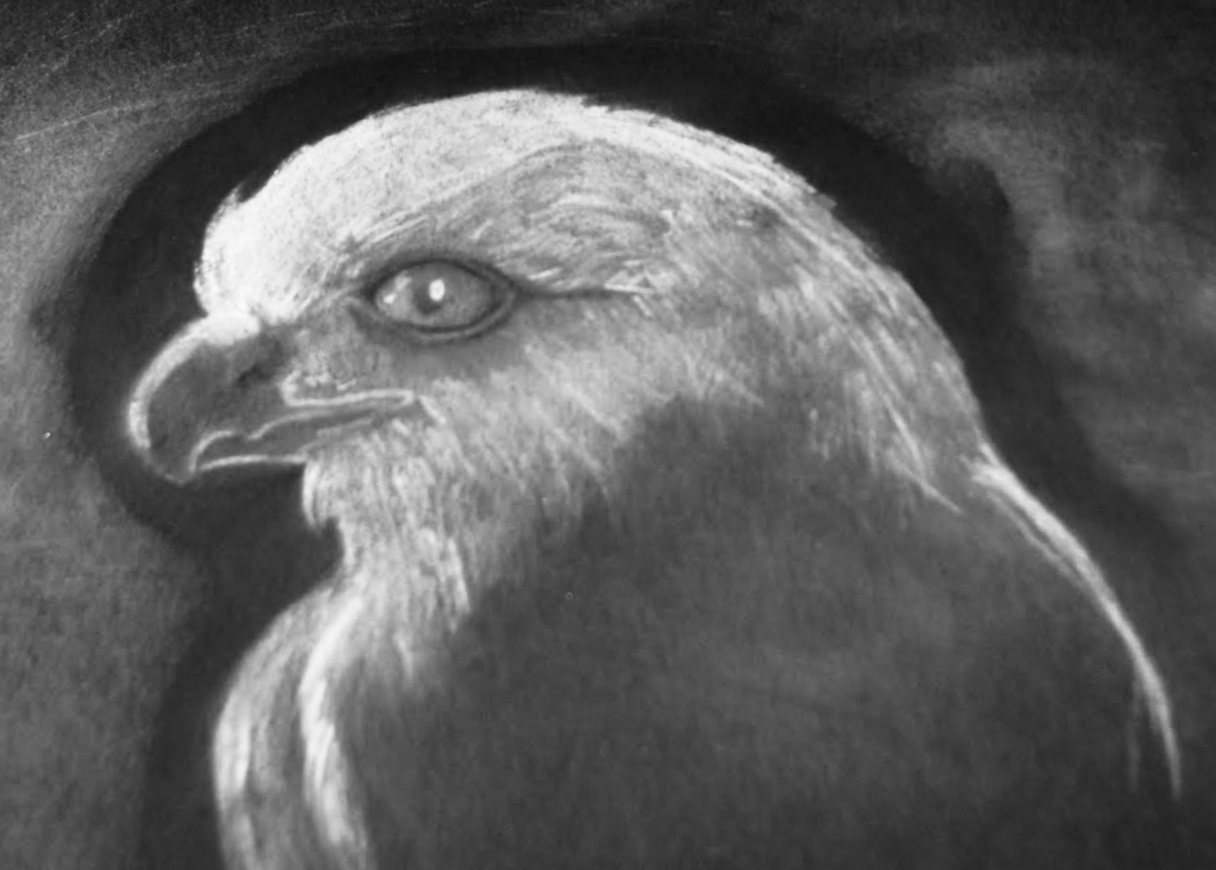 28A98142-99A2-4553-ADB1-41F4FDF5F446